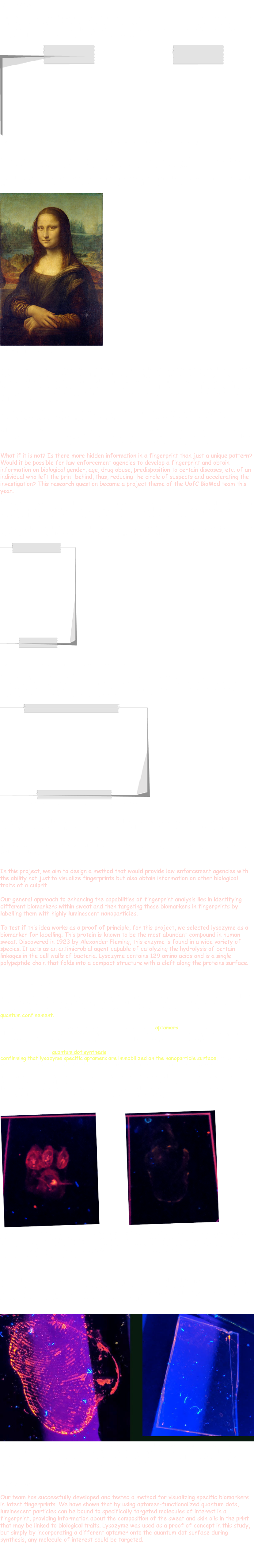 Motivation Fingerprints have been known as unique identifiers for centuries – in 247 BCE the first emperor of the unified Chinese empire, Qin Shi Huang, used his fingerprint on clay to seal the documents. Later, fingerprints earned a place in palmistry and fortune telling. Whorl patterns were believed to bring happiness, loops, on the other hand, disaster (Figure 1) ﷯ Figure 1. Three distinct fingerprint patterns: arch, whorl, and loop (left to right) In Europe, fingerprints were first used for identification of criminals at the beginning of the 20th century with New Scotland Yard adopting the fingerprint technology in 1901. Not all police departments were so enthusiastic about fingerprint analysis, however. In 1911, the world was shocked by the news that the Mona Lisa had been stolen from the Louvre. ﷯ Figure 2: The Mona Lisa The painting that had once decorated the bedroom of Napoleon Bonaparte was eventually discovered to be in the hands of a petty criminal named Vincenzo Peruggia. During the theft, Peruggia had generously left his fingerprints on the glass that covered the painting. However, none of the 60 detectives who were involved in the crime scene investigation followed up on the lead, despite knowing that the Parisian police already had a fingerprint database (which actually included Peruggia’s prints as well!). As a result, the crime often described as the greatest art theft of the 20th century was not resolved for two years. Fingerprinting became a universal method for identifying criminals in France only three years after this heist, in 1914. All the Parisian detectives had to do was to compare two fingerprint patterns – one in the database with the one that was left behind by Peruggia – in order to discover the thief. However, it is not always so easy. Identification is only possible if the fingerprint of a suspect is in the police database. What if it is not? Is there more hidden information in a fingerprint than just a unique pattern? Would it be possible for law enforcement agencies to develop a fingerprint and obtain information on biological gender, age, drug abuse, predisposition to certain diseases, etc. of an individual who left the print behind, thus, reducing the circle of suspects and accelerating the investigation? This research question became a project theme of the UofC BioMod team this year. “Latent” fingerprints – those left behind on surfaces that have been touched – are mainly composed of a residue of sweat and skin oils. With current forensic technology, there are 3 major techniques in developing latent prints: dusting, cyanoacrylate fuming, and ninhydrin staining. Dusting involves gently distributing aluminum powder onto a surface with potential prints. Dust adheres to the moisture and oils present in the print, making it more visible. ﷯ Figure 3: Latent fingerprint visualized using dusting. In cyanoacrylate fuming, an object is placed into a closed container with a dish of heated cyanoacrylate. As the cyanoacrylate vaporizes, it deposits on surfaces inside the container. The moisture in the latent prints accelerates polymerization of the cyanoacrylate on the fingerprint, revealing the prints as white patterns on the surface (Figure 4). ﷯ Figure 4: Latent prints being visualized using cyanoacrylate fuming. Ninhydrin staining relies on the reaction of the colorless compound ninhydrin with amine groups found on the proteins in sweat. The reaction results in a purple-colored product that makes the fingerprint pattern visible. The techniques described above only allow one to develop the fingerprint pattern, which can be done well and reliably nowadays. In this project, we aim to design a method that would provide law enforcement agencies with the ability not just to visualize fingerprints but also obtain information on other biological traits of a culprit. Our general approach to enhancing the capabilities of fingerprint analysis lies in identifying different biomarkers within sweat and then targeting these biomarkers in fingerprints by labelling them with highly luminescent nanoparticles. To test if this idea works as a proof of principle, for this project, we selected lysozyme as a biomarker for labelling. This protein is known to be the most abundant compound in human sweat. Discovered in 1923 by Alexander Fleming, this enzyme is found in a wide variety of species. It acts as an antimicrobial agent capable of catalyzing the hydrolysis of certain linkages in the cell walls of bacteria. Lysozyme contains 129 amino acids and is a single polypeptide chain that folds into a compact structure with a cleft along the proteins surface. How our method works: The core component of our ink for fingerprint development is nanoparticles made of cadmium telluride core (CdTe) and cadmium sulfide (CdS) shell. These luminescent particles are known as quantum dots (QDs). When excited with UV light, they emit visible light due to effect known as quantum confinement. During synthesis, these nanoparticles were functionalized with aptamers – single stranded oligonucleotides that bind strongly to specific molecular targets. In our project, lysozyme specific aptamers have been used to bind nanoparticles to the lysozyme present in fingerprints. Upon completing the quantum dot synthesis and confirming that lysozyme specific aptamers are immobilized on the nanoparticle surface, using our ink we successfully developed several patterns on glass surfaces that contained lysozyme. To confirm that the aptamer functionality is preserved upon immobilization on the nanoparticle surface, we first developed a bear-paw pattern that was hand drawn on a glass using a solution of lysozyme at a concentration of 10mg/mL (Figure 5). The large area exposed to lysozyme in this pattern made visualization easier to test the conditions needed for binding. ﷯ Figure 5. Visualization of patterns with aptamer functionalized QDs. LEFT: a bear-paw pattern was drawn on the slide using a lysozyme solution and incubated with a solution of the aptamer-functionalized QDs. After rinsing, the pattern is visible under UV irradiation. RIGHT: the same pattern was drawn with the lysozyme solution and incubated with unmodified QDs (no aptamer). After rinsing, no specific binding to the lysozyme pattern is seen with UV irradiation Next, a latent fingerprint was created on an epoxy functionalized glass slide. The print was made by rubbing a fingertip against the forehead first, and then pressing the fingertip tightly against the glass surface. The created fingerprints were incubated with aptamer functionalized quantum dots and bare quantum dots as a control. The results are presented in Figure 6. ﷯ Figure 6. Epoxy-coated glass slides with latent fingerprints. LEFT: fingerprint was incubated with a solution of the aptamer-functionalized QDs. RIGHT: fingerprint was incubated with a solution of non-modified QDs (no aptamer). After rinsing with water and viewing under UV light, binding of the QDs to the fingerprint pattern is visible only with the aptamer-modified QDs. SUMMARY Our team has successfully developed and tested a method for visualizing specific biomarkers in latent fingerprints. We have shown that by using aptamer-functionalized quantum dots, luminescent particles can be bound to specifically targeted molecules of interest in a fingerprint, providing information about the composition of the sweat and skin oils in the print that may be linked to biological traits. Lysozyme was used as a proof of concept in this study, but simply by incorporating a different aptamer onto the quantum dot surface during synthesis, any molecule of interest could be targeted. 
