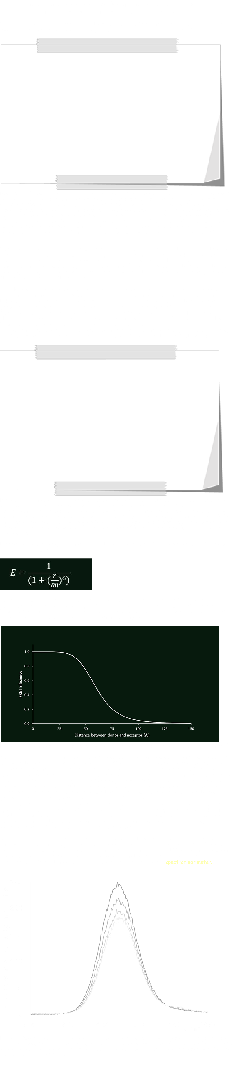 Förster Resonance Energy Transfer as a tool to confirm the functionalization of quantum dots with aptamers  The absorption of energy results in an electron being transferred from its ground singlet state (S0) to higher energy levels (S1, S2, etc.) as shown in a Jablonski diagram (Figure 1). ﷯ Figure 1. A Jablonski diagram depicting various electronic state transitions. The solid blue arrows represent the absorption of photons of different energies, resulting in an electron being transferred from the ground singlet state (S0) to a higher energy level (S1 or S2). The dashed yellow arrow represents internal conversion, a non-radiative process of energy loss. The dashed orange arrow represents intersystem crossing, a non-radiative transition between the states of different multiplicity (singlet (Sn) and triplet (Tn)). The solid red arrow represents fluorescence, the emission of a photon, resulting from the electron transitioning to the ground state from the state of the same multiplicity. The solid green arrow represents phosphorescence, the emission that occurs as a result of the electron transition between the states of different multiplicity. The transition of an electron from the ground state to a higher energy level is only possible when the energy of the photon matches the energy gap of the respective transition. Following the excitation, a molecule may lose energy through a variety of pathways: fluorescence, internal conversion, intersystem crossing, or phosphorescence. All of these processes lead to the electron decaying to the ground state. Molecules that are capable of losing the excitation energy through fluorescence are called fluorophores. If a fluorophore or luminescent nanoparticle is in close proximity to another emitter or quencher, it can transfer energy through a process called Förster resonance energy transfer (FRET). In the FRET pair, the emitter that is directly excited is referred to as the donor, while the emitter or quencher that is excited through the energy transfer process is referred to as the acceptor. The efficiency of Förster resonance energy transfer depends on many factors. For any two fluorophores to be a Förster resonance energy transfer pair, there must be a spectral overlap between the donor emission and the acceptor excitation spectra. It is important to note that the acceptor does not absorb photons emitted by the donor. Instead, the donor transfers the energy to the acceptor non-radiatively, as illustrated in Figure 2. ﷯ Figure 2. A simplified Jablonski diagram depicting various electronic transitions of the donor-acceptor pair. The donor is excited (blue arrow) by an external source, e.g. a laser, while the acceptor is excited due to the energy transfer from the donor (purple arrow). The dotted red arrow represents donor fluorescence in the case of no energy transfer (e.g. in the absence of the acceptor) or when the energy transfer occurs with the efficiency of less than 100 %. The dashed yellow arrow represents internal conversion. The solid green arrow represents acceptor fluorescence, which is of a lower energy (thus a longer wavelength) compared to the donor emission. Förster resonance energy transfer is strongly dependent on the distance between the donor and acceptor fluorophores: ﷯ where R0 is the Förster radius, which represents the distance between the donor-acceptor pair at which the energy transfer efficiency is 50%, and r is a distance between the FRET pair (usually between 10Å to 100Å). It is the dependence on the distance to the sixth power that makes FRET so sensitive to the donor-acceptor spatial separation (Figure 3). ﷯ Figure 3. FRET efficiency as a function of the distance between the donor and acceptor (Å) for R0 of 60 Å. To confirm the aptamer attachment to CdTe/CdS core/shell quantum dots, the aptamer modified nanoparticles with a photoluminescence peak of 625 were washed several times using centrifugation to ensure that no free aptamer strands remained in solution. Then they were transferred into the hybridization buffer. Oligonucleotides with sequences complementary to the aptamer sequence and functionalized with a covalently attached Cy5.5 dye were added to the nanoparticle suspension at different concentrations. Cy 5.5 is a fluorescent dye with the emission maxima at 706 nm. It was chosen because its absorption spectrum overlaps with the emission spectrum of the selected quantum dots, which is a necessary condition for FRET to occur. If the aptamer attachment was successful, the complementary oligonucleotides were expected to hybridize with the aptamer strands. In this case, due to close proximity to quantum dots, FRET should occur, which would result in a decrease of the quantum dot emission intensity. However, if no surface functionalization of the quantum dots with the aptamer molecules occurred, the emission intensity of the quantum dots would not change. Below is the emission spectra of the S2 aptamer functionalized quantum dots in the presence of different amounts of the dye conjugated complementary oligonucleotide strands. The observed decrease in the emission intensity of the quantum dots is consistent with FRET happening between the quantum dots and the dye, thus, confirming successful incorporation of lysozyme specific aptamers into CdS shell of quantum dots. Spectra are measured with a spectrofluorimeter. ﷯ Figure 4. Emission spectra of S2 aptamer functionalized quantum dots in the presence of different amounts of the dye conjugated complementary oligonucleotides. The control experiments (data not shown) with bare (no aptamer) quantum dots showed that the emission of the quantum dots is unaffected by adding oligonucleotides functionalized with Cy 5.5 dye. 